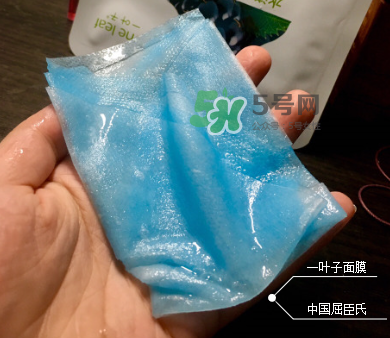 一葉子山茶花補水面膜怎么樣？一葉子山茶花面膜好嗎？