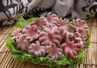 八爪魚煮多久才好？八爪魚需要煮多久？