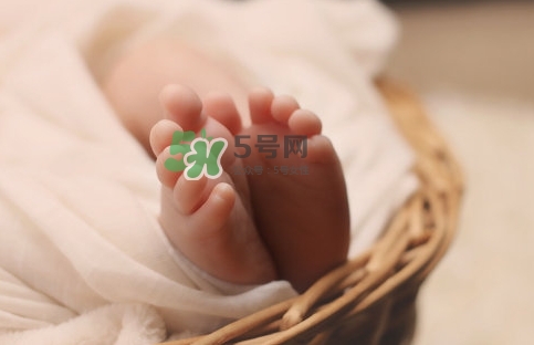 孕婦怎么吃燕窩最好？哪些孕媽需要吃燕窩？