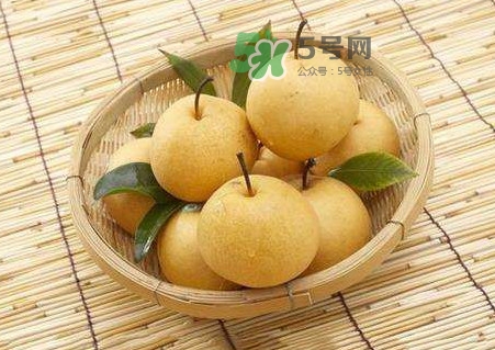 梨子怎么保存？梨子可以放冰箱嗎
