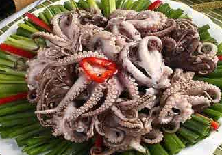 八爪魚可以冷凍嗎？八爪魚可以放冰箱嗎？