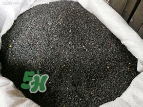 怎么看男人腎好不好？男人腎虛吃什么調(diào)理？