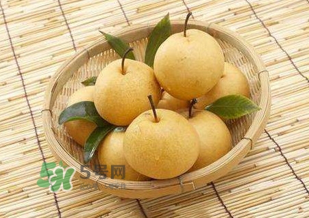 買梨子怎么挑選？梨子外面為什么要包張紙