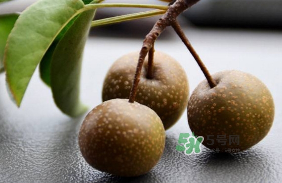 棠梨子怎么吃？棠梨子孕婦可以吃嗎