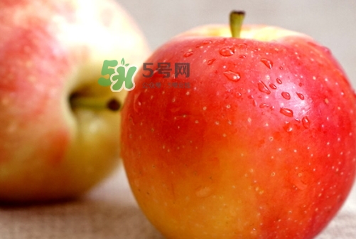 嘎啦蘋果多少錢？嘎啦果多少錢一斤