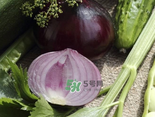 皮芽子發(fā)芽了可以吃嗎？新疆人為什么都愛(ài)吃皮芽子