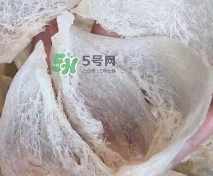 燕窩里面含有激素嗎？燕窩兒童吃了會不會性早熟？