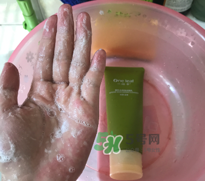 一葉子補(bǔ)水潔面乳怎么樣？一葉子補(bǔ)水洗面奶好用嗎？