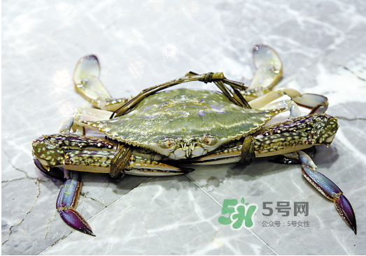 梭子蟹可以和酸奶一起吃嗎？吃完梭子蟹能喝酸奶嗎？