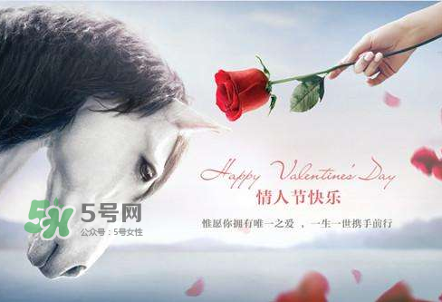 roseonly怎么樣？roseonly好看嗎？