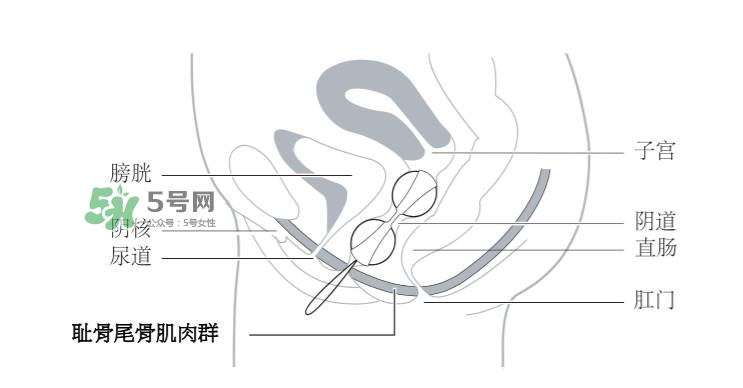 lelo露娜球如何使用方法？露娜球使用感受
