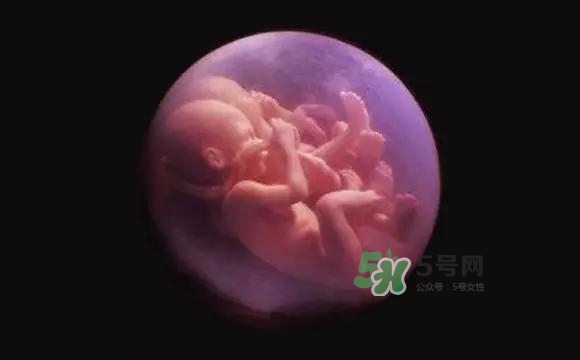 多胞胎是怎么生產(chǎn)的？多胞胎應(yīng)選擇什么分娩方式
