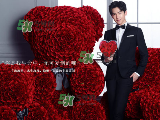roseonly熊什么材質(zhì)？roseonly玫瑰熊是真花嗎？