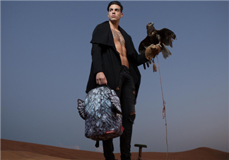 sprayground翅膀書(shū)包多少錢(qián)？sprayground雙肩包什么價(jià)位？