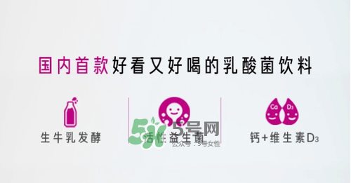 每日活菌乳酸菌多少錢一瓶？每日活菌乳酸菌好喝嗎？