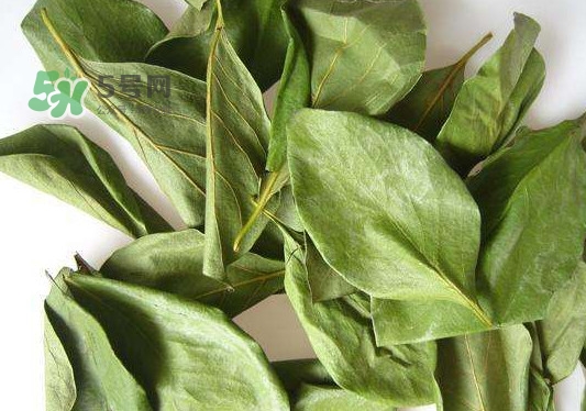 怎樣制作柿子葉茶？柿子葉茶的做法