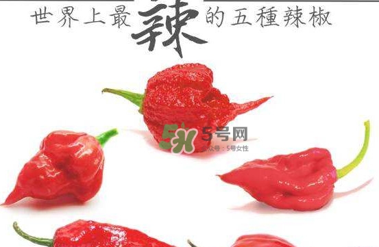 卡羅萊納死神辣椒中國(guó)有嗎？死神辣椒哪里有賣
