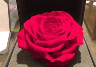 roseonly怎么看真假？roseonly真假對(duì)比