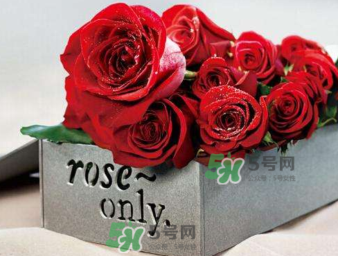 roseonly怎么看真假？roseonly真假對(duì)比