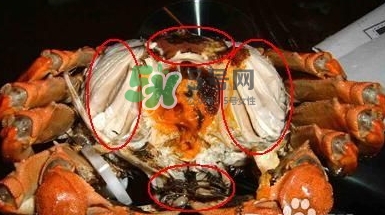 螃蟹怎么吃好吃？螃蟹和什么一起吃最好？