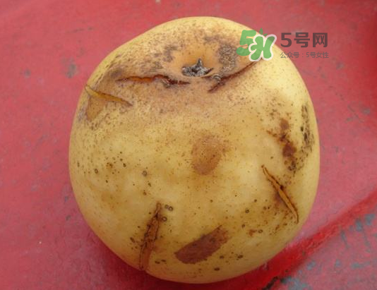 皇冠梨雞爪病能吃嗎？皇冠梨雞爪病怎么辦？
