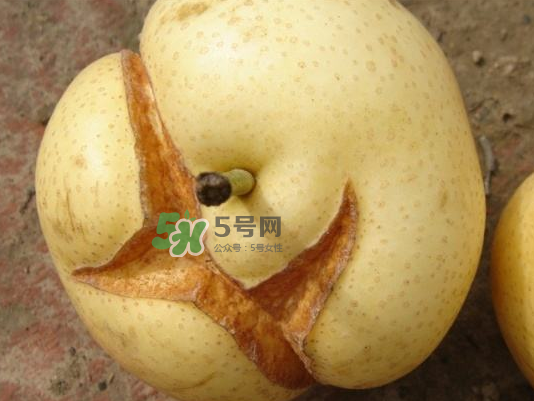 皇冠梨雞爪病能吃嗎？皇冠梨雞爪病怎么辦？