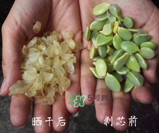 皂角米是什么味道？皂角米是什么顏色