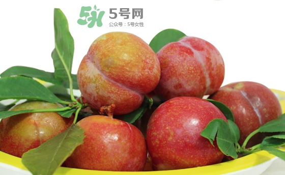 芙蓉李多少錢一斤？芙蓉李價(jià)格