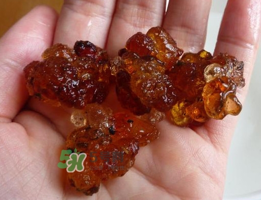 桃膠哪里有賣的？哪里產(chǎn)的桃膠最好