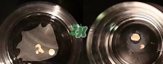 資生堂智能持久粉底液怎么樣？資生堂智能粉底液怎么用