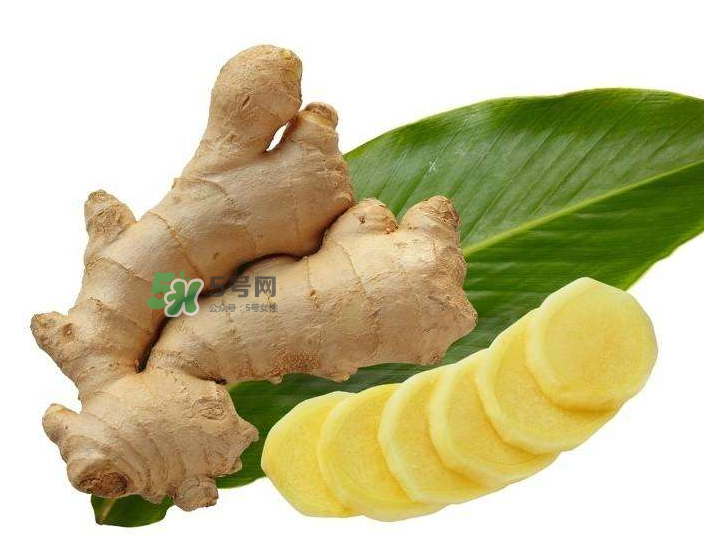 胃病患者可以長期食用生姜嗎？胃不好能不能吃姜？