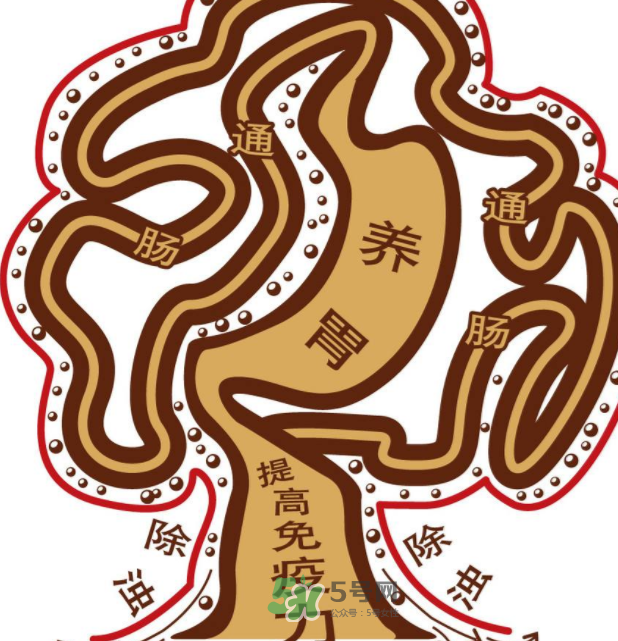 腸胃不好會引起頭暈嗎？頭暈與腸胃不好有關(guān)系嗎？