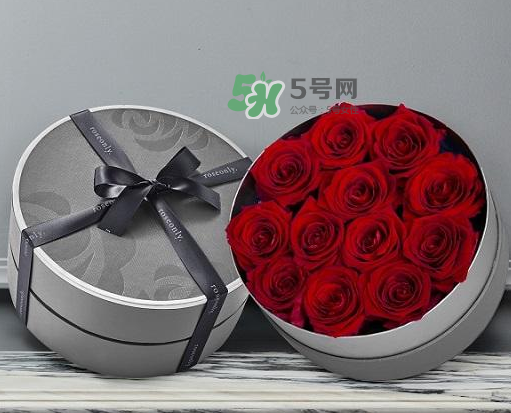 roseonly怎么讀？roseonly怎么讀在線讀？