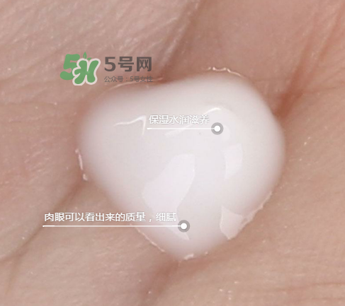 蘭芝新水酷特潤乳霜多少錢？蘭芝新水酷特潤乳霜價格