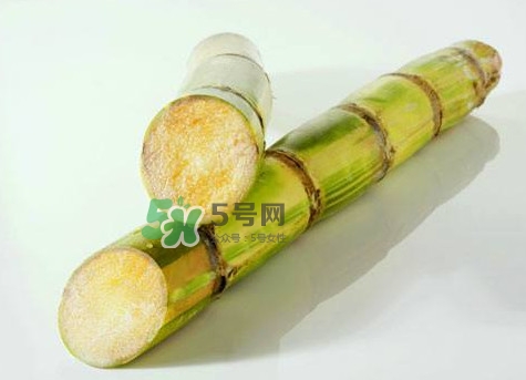 甘蔗是哪里的特產(chǎn)？甘蔗是什么地方的特產(chǎn)