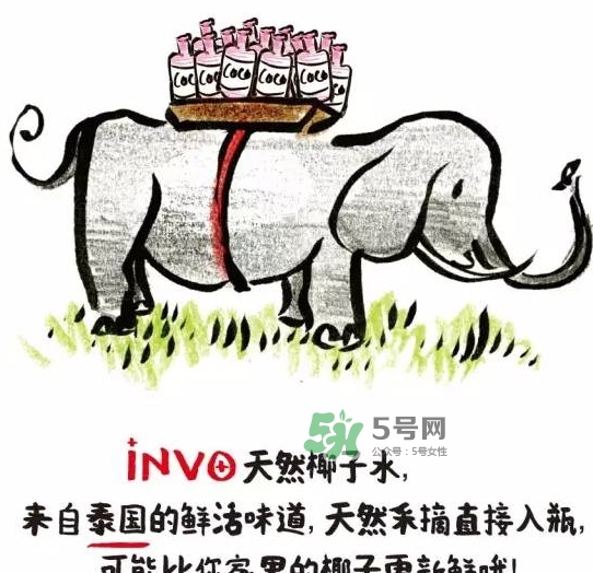 invo椰子水多少錢？invo椰子水好喝嗎？