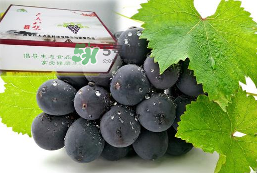 戶太八號(hào)什么時(shí)候成熟？戶太八號(hào)幾月份成熟？