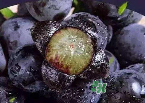 戶太八號(hào)多少錢一斤？戶太八號(hào)為什么在全國(guó)很有名？