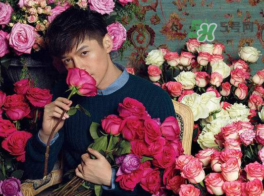 野獸派和roseonly哪個好？野獸派和roseonly區(qū)別