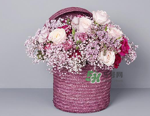 野獸派和roseonly哪個好？野獸派和roseonly區(qū)別