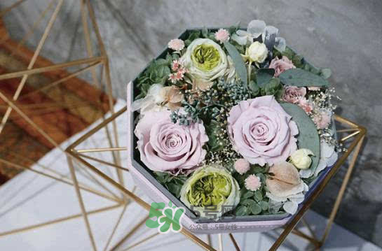 野獸派永生花會死嗎？野獸派永生花是什么？