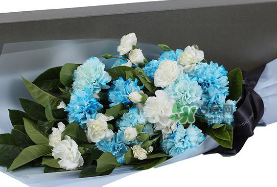 joyflower是哪國品牌？joyflower怎么樣？