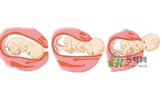 胎兒什么時(shí)候入盆？胎兒入盆后胎動(dòng)會(huì)減少嗎？