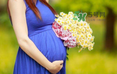 孕婦可以拔牙嗎？孕婦可以拔智齒嗎？