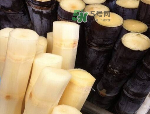 甘蔗是哪里的特產(chǎn)？甘蔗是什么地方的特產(chǎn)