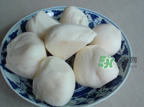 涼薯是什么東西？涼薯是地瓜嗎？