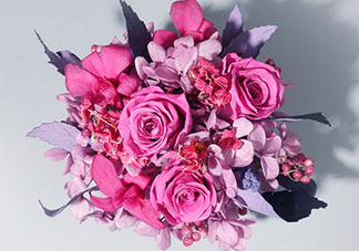 joyflower是哪國品牌？joyflower怎么樣？