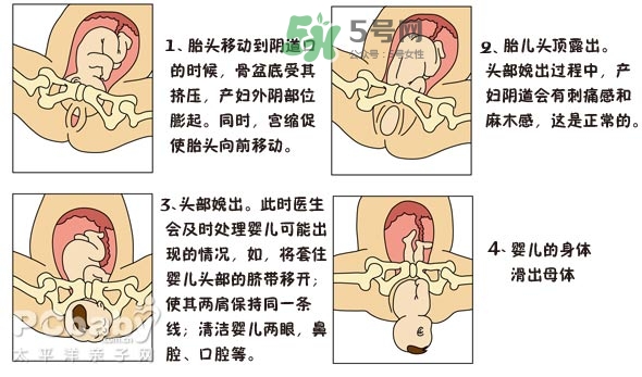 生孩子的過(guò)程是怎樣的？生孩子的真實(shí)過(guò)程