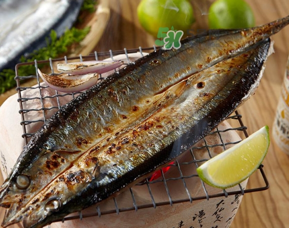 秋刀魚有刺嗎？秋刀魚刺多嗎？