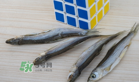 刁子魚(yú)是發(fā)物嗎？刁子魚(yú)是不是發(fā)物